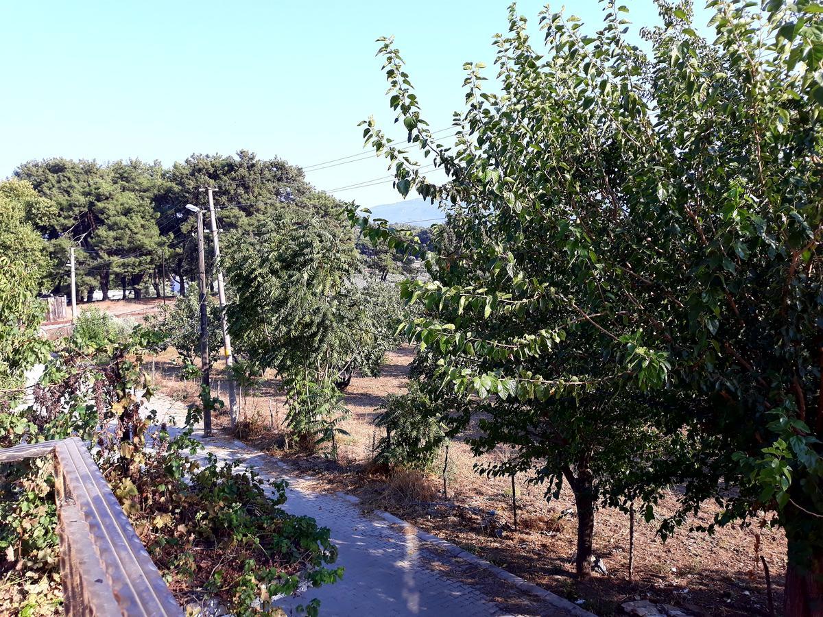 Can Efes Hotel Selçuk Zewnętrze zdjęcie